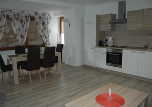 Large apartment right on the forest, ideal for hikers & bikers - apartment Margareta