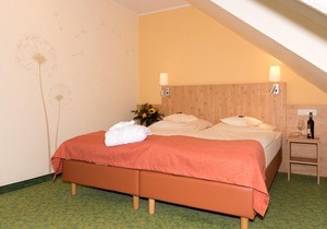 Large comfort double room, shower o. Bath / WC - Hotel u. Landgasthof Zum Bockshahn