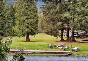 Large Lodge at Rainer Lodge - 0.4 mi to Mt.Rainier