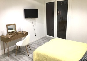 Large renovated T5 near tramway and shops 5 'downtown