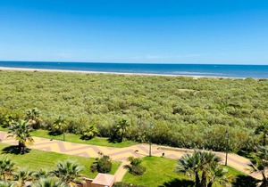 Las Palmeras Penthouse Apartment