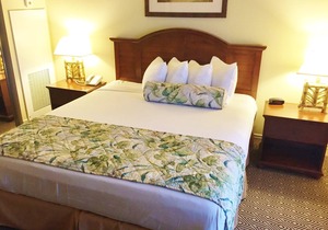 Las Vegas Resort 2 Bedroom Condo