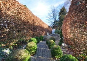 Lavender Cottage - Two Bedroom House, Sleeps 3