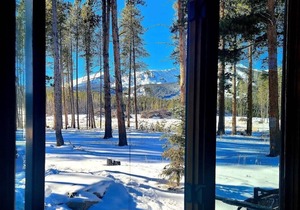 Lazy Fox Lodge in National Forest View