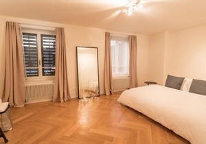 Le Bijou LQ82 Spectacular Limmatview Penthouse