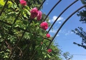 Le Cottage Mirabelle