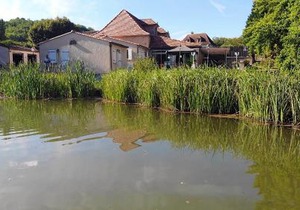 Le Domaine de L'étang de Sandanet