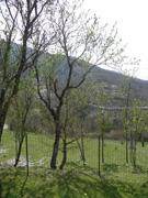 Le gîte BRENON G433