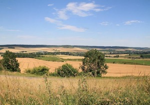 Le Haut Mesnil - 3