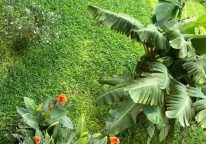 Le Lézard Vert, Maison d'Affair à Niamey