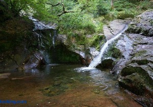 Le Vieux Sart 3
