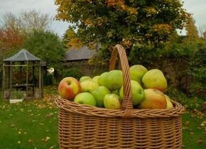 Lea House Bed and Breakfast