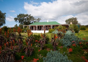 Leeuwenbosch Country House-Amakhala Game Reserve