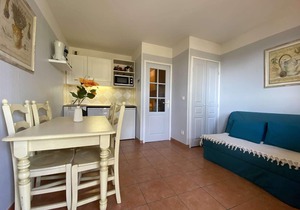 Les Issambres: Studio cabin for 4, AC, pool, parking