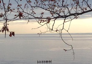 Les Pinsons des Rives