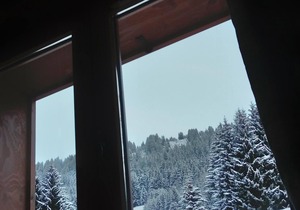 Les Saisies - cosy 50 m² family flat with swimming pool 150 m from the slopes