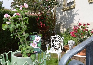 liebevoll eingerichtete Suite mit Doppel-Boxspringbett