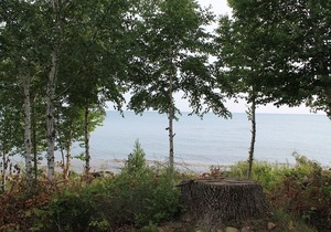 Lightkeepers Vintage Cottage 3