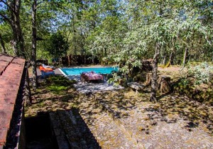 Liiiving in Caminha | Oak Tree Chill House