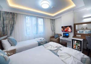 Lika Hotel - Standard Double or Twin Room in Istanbul