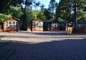 Like new one bedroom, one bath cabin overlooking Christopher Creek