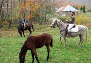 Linden Tree Retreat & Ranch