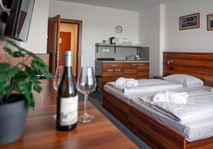 Lipno Wellness - Frymburk C 301