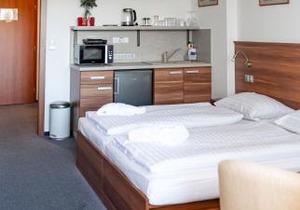 Lipno Wellness - Frymburk C 401