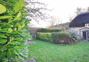 LITTLE IVY, pet friendly, with a garden in West Lulworth