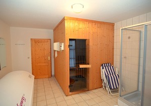 Lively Apartment with Sauna in Schonsee