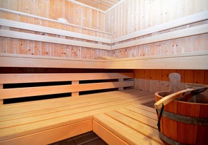 Lively Apartment with Sauna in Schonsee