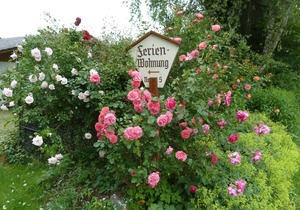 Living in nature at the Bavarian Forest National Park. Award-winning garden