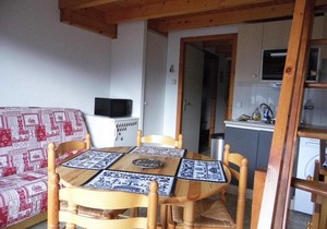 Location 2 pièces cabine mezzanine à Saint-Jean-d'Aulps, pied de pistes, parking, animaux admis - FR-1-573-29