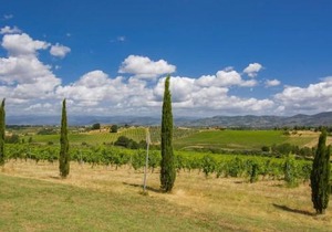 Locazione Turistica Borgo Fontana-4