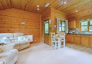Lodge with one king-size double with en suite bathroom with shower.