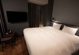 LOF HOTEL Shimbashi