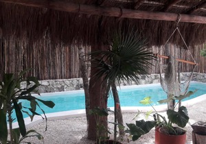 Loft for 3 in The Jungle With Kitchen, A/C, Pool
