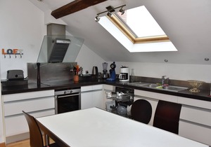 LOFT MICHELET NANCY FOR 4 PEOPLE VERY QUIET