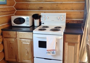 Log Cabin with Amazing Mountain & Lake Views (allergy-friendly)