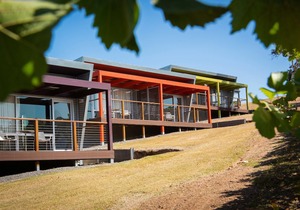 Longview Vineyard