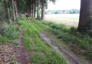 Lovely Holiday Home in Merksplas with Fenced Garden