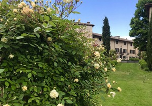 Lovely stone home with garden, in a castle near beach and 1 hour from Venice - 2