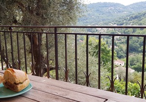 Lower Garden Apartment with *Large Heated Pool*