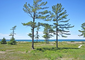 Lower Level Beachfront Condo in Glen Arbor 2B/2BA!