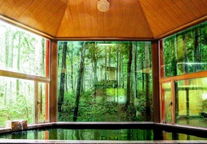 Lupo Forest "GRAN FOREST Echizen Miyama" - Vacation STAY 06371v