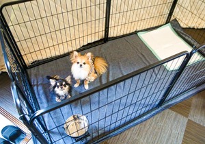 Lupo Forest "GRAN FOREST Echizen Miyama" - Vacation STAY 07123v