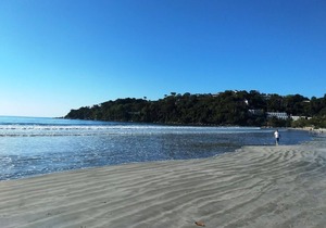 Lush views of Toninhas Beach