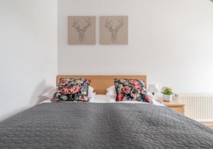 Lux apartamenty Stara Polana