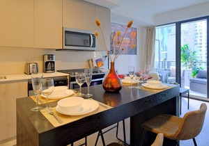 Luxurious Brand New 2 BDRM 2 Bath Condo Downtown Toronto