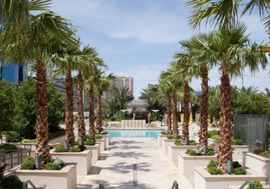 Luxurious Suite with Pool View and Walking Distance from The Las Vegas Strip!